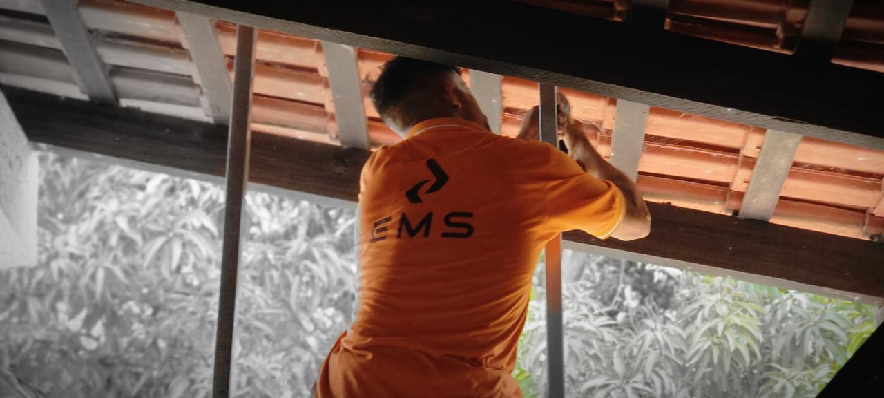 EMS1 (7)